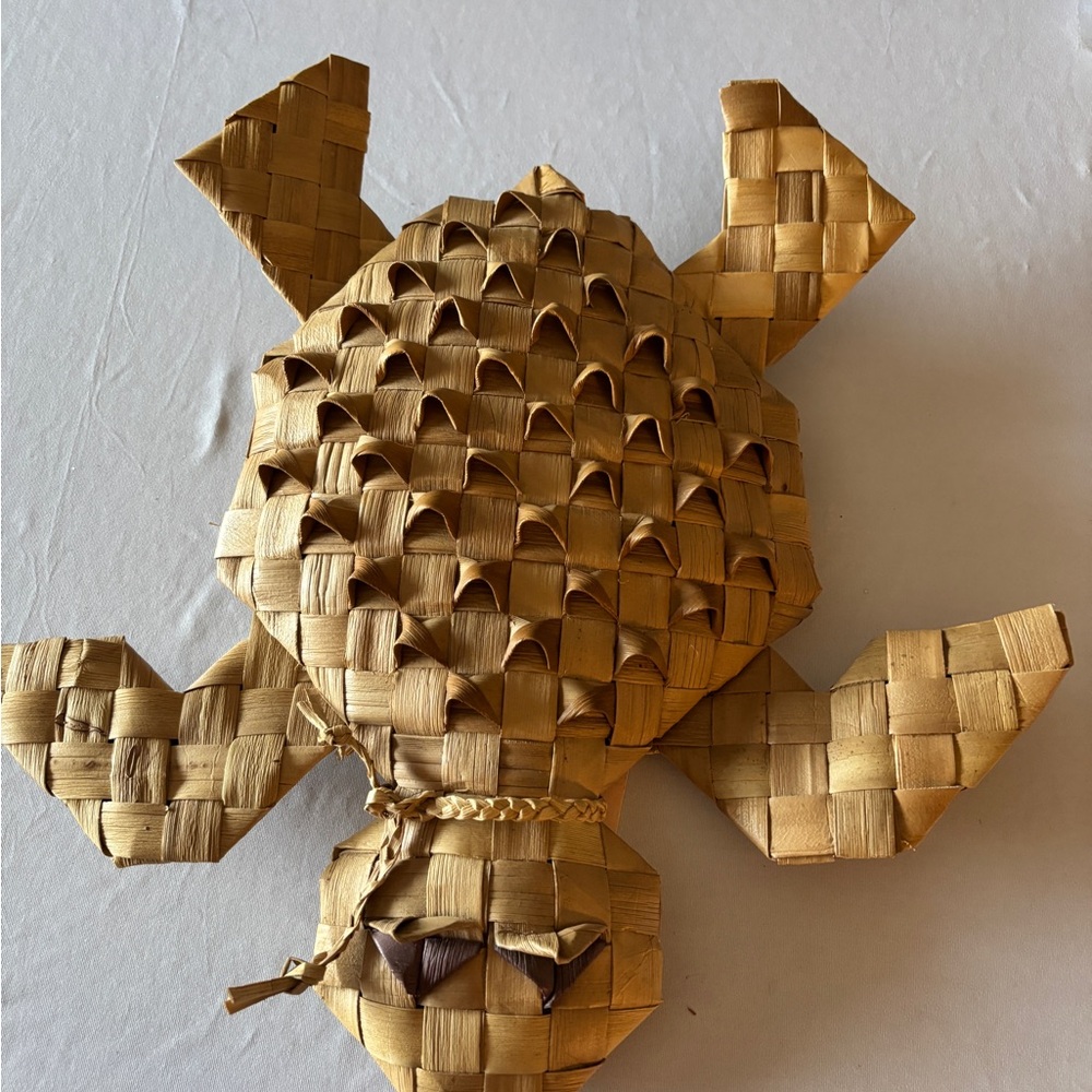 Artisan Woven Turtle Decor